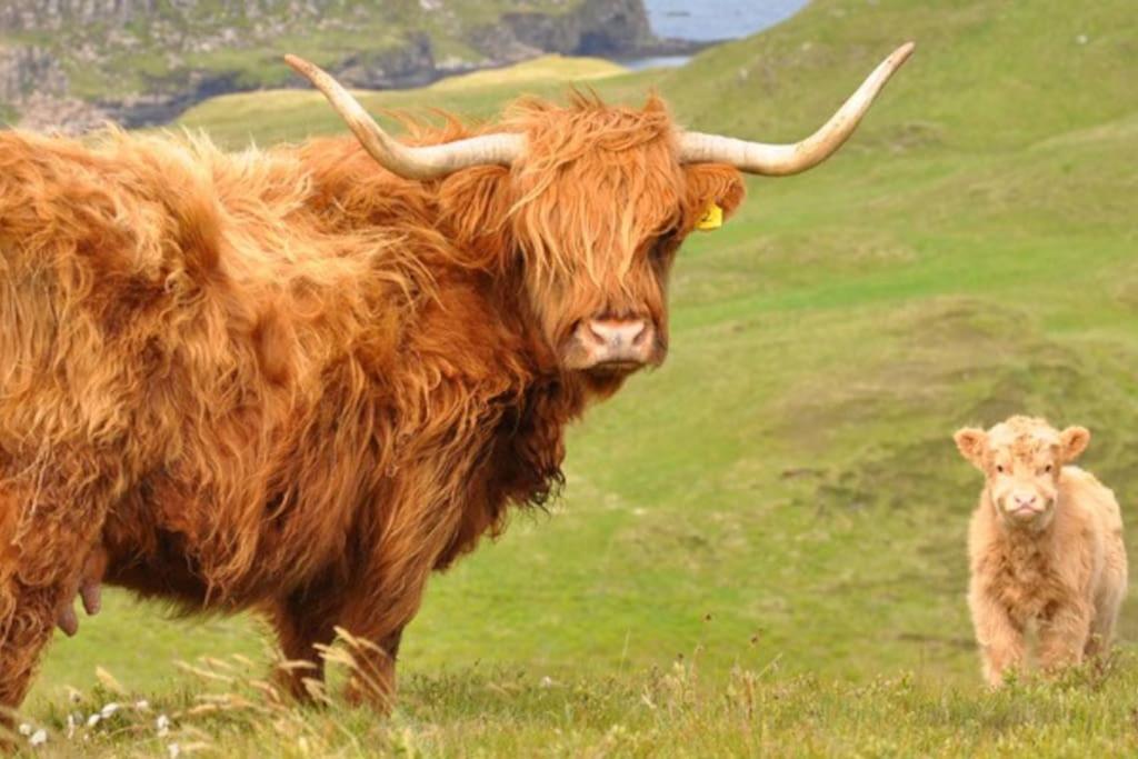 Glas Bheinn Cottage Luib Esterno foto