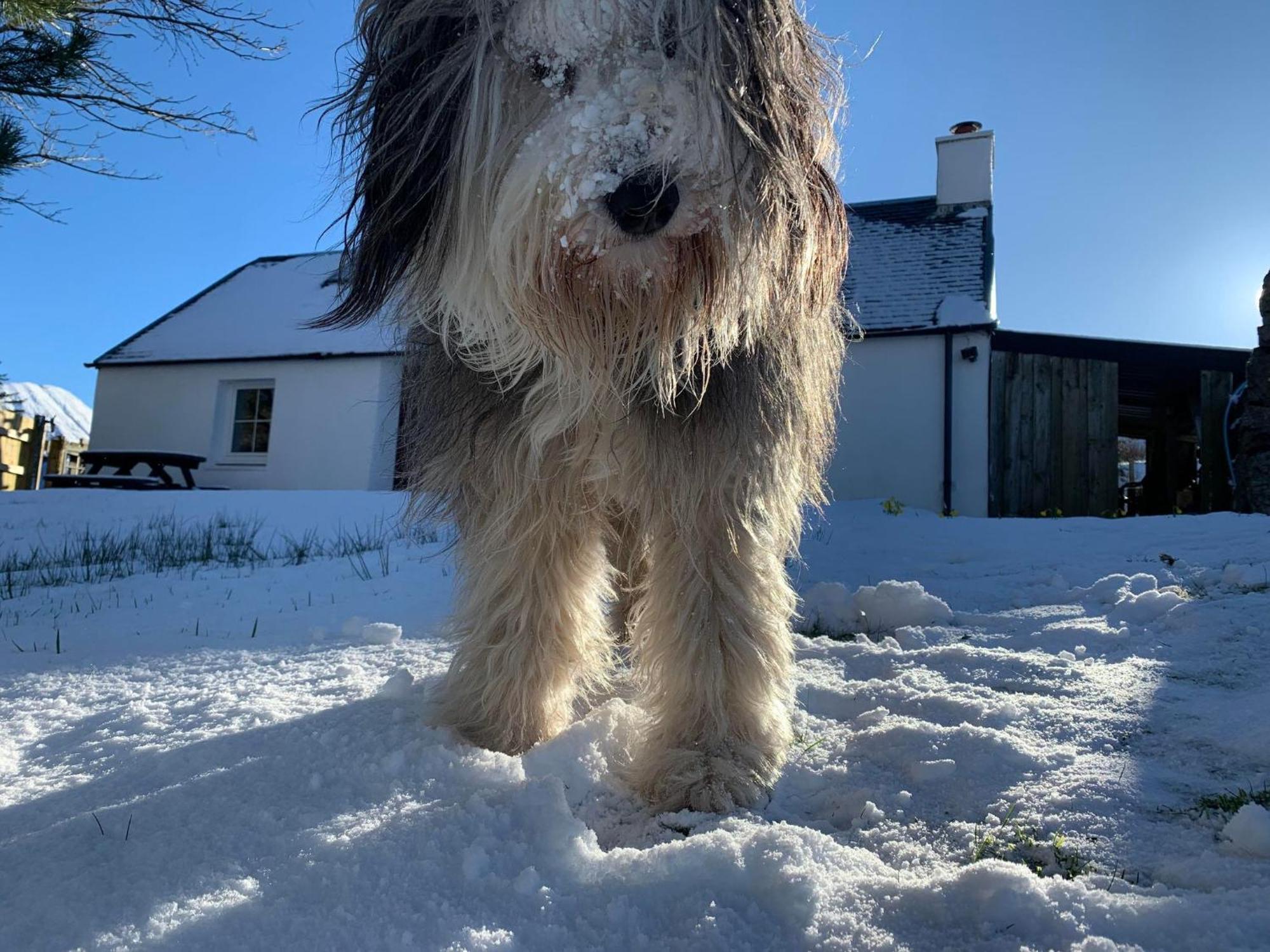 Glas Bheinn Cottage Luib Esterno foto